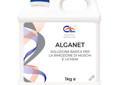 ALGANET