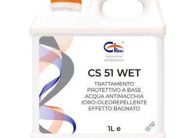 CS 51 WET